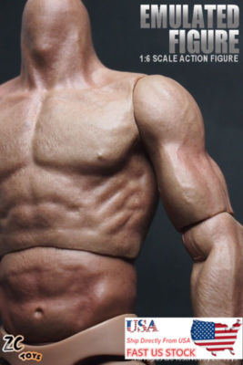 Zc Toys 1/6 Model Toy Nude Male 12''Muscular Figure Body For HT