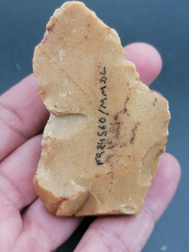Neanderthal Middle Paleolithic France Mousterian carinated scraper Dordogne - Picture 16 of 16
