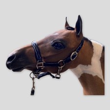 miniature Horse / Mini shetland Black leather headcollar