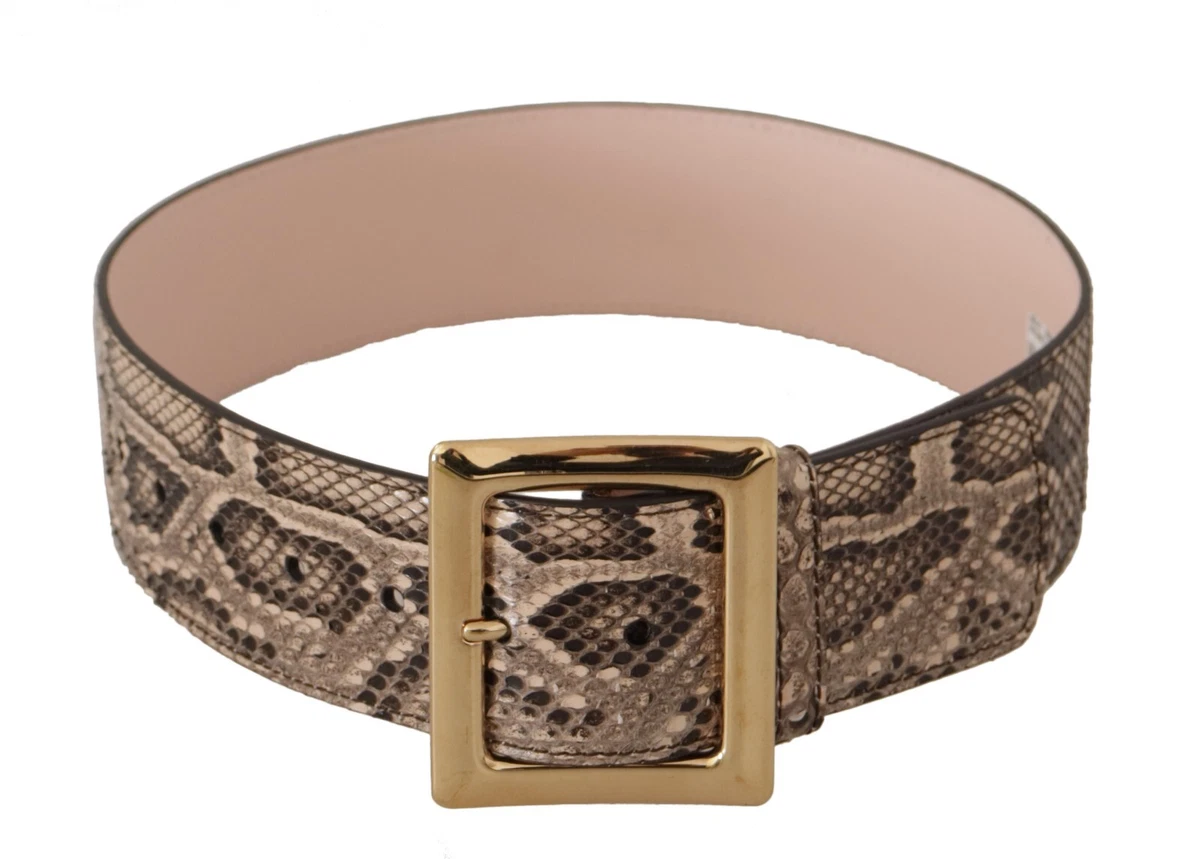 Gucci snake shop belt ebay