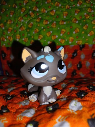 LOT 15 LITTLEST Pet Shop Tabby Cat 576 606 1660 815 552 1913 300