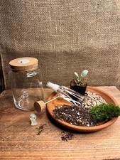 terrarium ki moss terrarium kit, diy terrarium kit, Team builds activity.