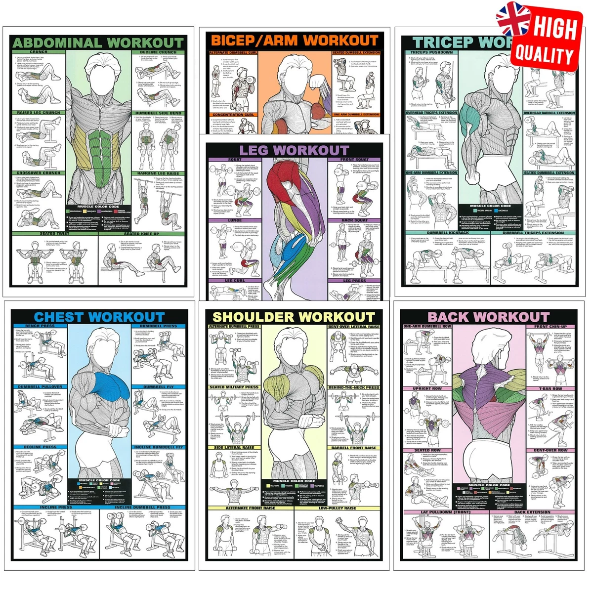 Gym Workout Poster All Body Bicep