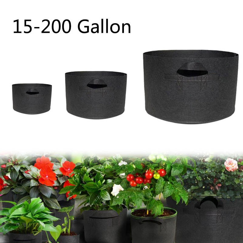 15 gallon sales planter