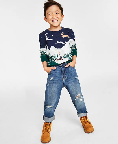 Holiday Lane Toddler Boys Size 3T Snowy Landscape Crewneck Sweater Blue $40 166