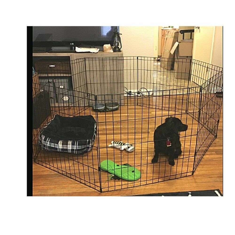 long dog pen