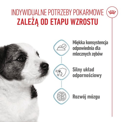 Royal Canin Mini Puppy 24x85g Feuchtfutter in Sauce für Welpen kleiner Rassen - Bild 4 von 10