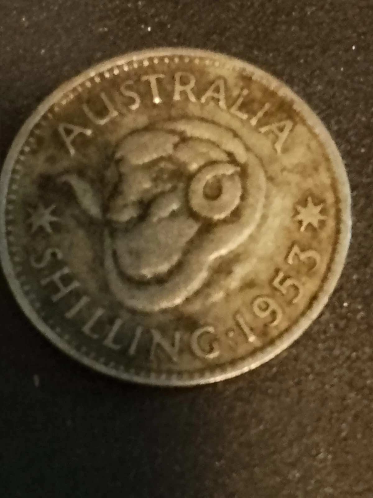 Picture 5 of 14