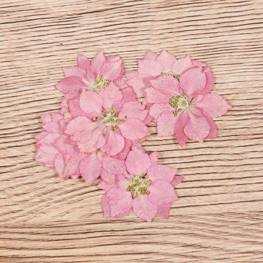 Edible Flowers DIY Flower Stickers Real Dried Pressed Flowers eBay