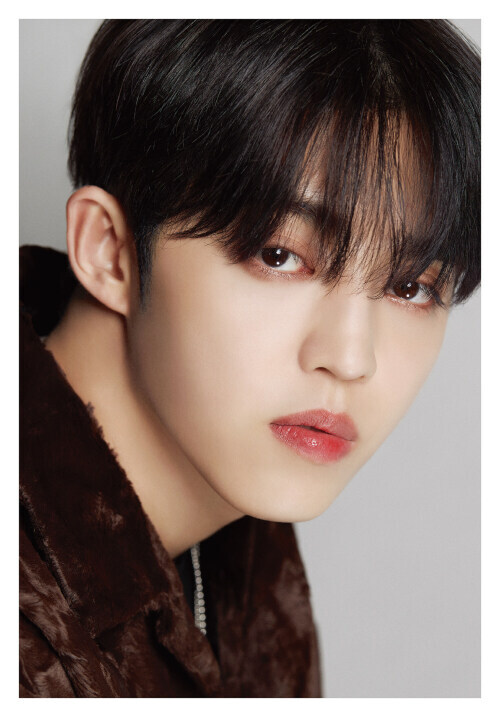 DICON D'FESTA SEVENTEEN MINGYU version新品 svt_cover_WOOZI.jpg