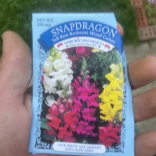 15 TETRA SNAPDRAGON SEEDS (Antirrhinum majus) - FLOWERS SEEDS | USA FAST SHIP