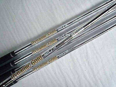 Golf Iron Set Mizuno Pro 319 Dynamic Gold 120 S200 5pcs 6-P