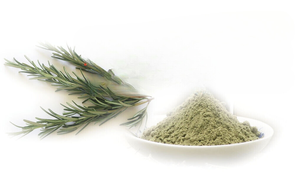 HELLOYOUNG Romero Premium en Polvo (Molido) - Verde Fresco