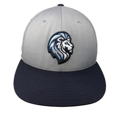 Lions Head Fitted Baseball Cap Multicolor M Embroidered PTS Lite Richardson