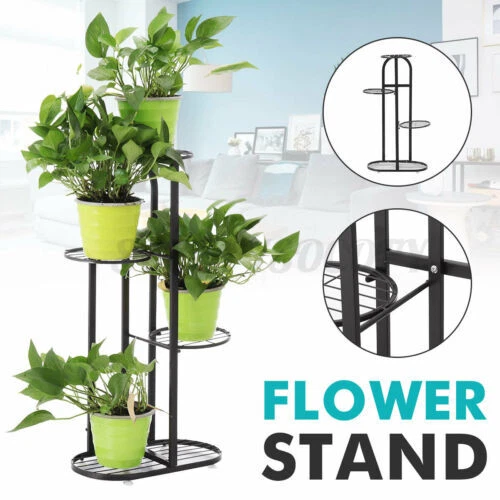 Planta de estanterías de bronce se encuentra