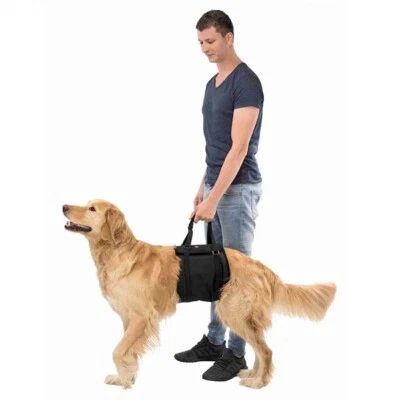 Trixie Dog Lifting Aid Stabilising Relief Stair Car Support Carrier - Older Dogs