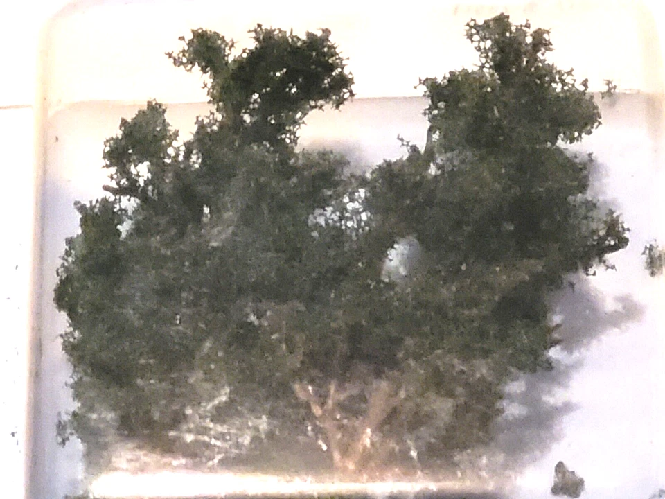 BUSCH N 6733 TREES & ARBRES 3 1/4" HIGH (2 Pack) - N Scale - Image 2 of 2