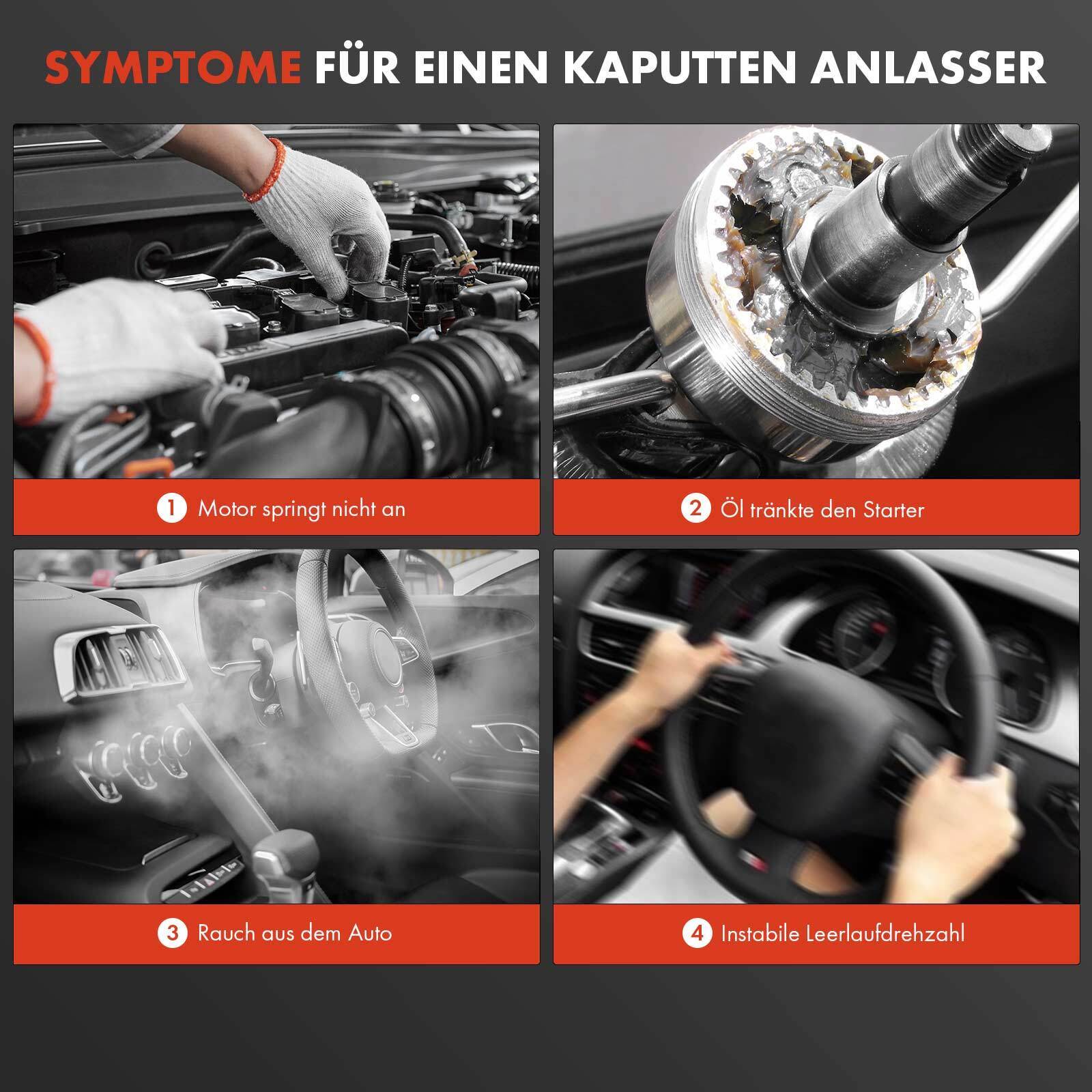 Bild 8 von 8