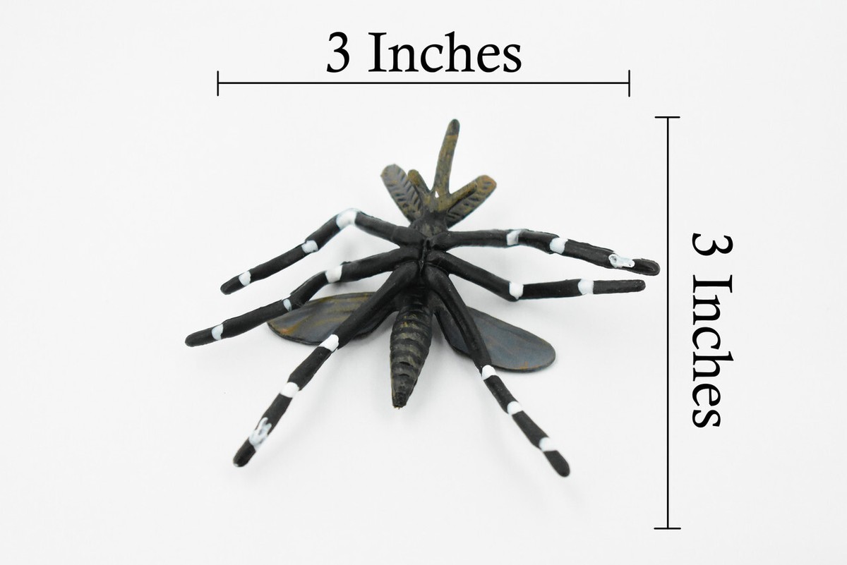 Mosquito, Realistic Toy Figure, Model, Replica, Educational Bug 3