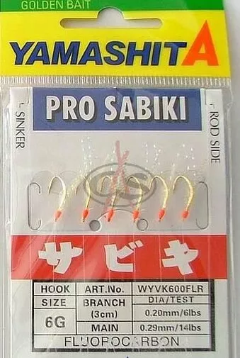 Foto 1 di 4