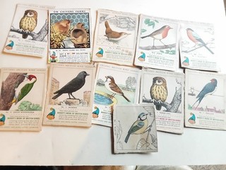 10x Chivers British Birds Series Cards nos 2 3 4 6 8 9 11 14 15 20 For Noddys