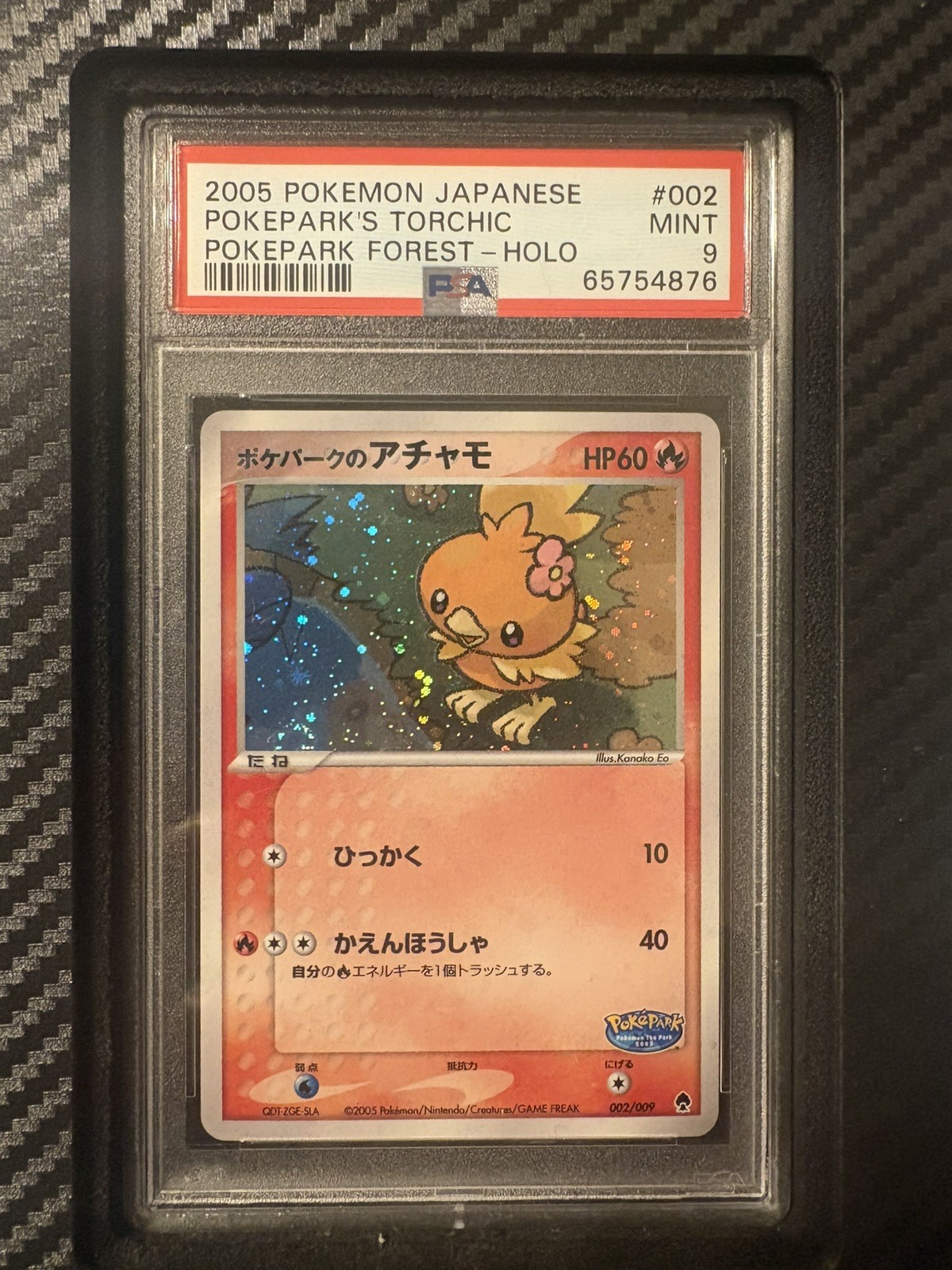 PokePark's Torchic 2005 Japanese PokePark Forest #002/009 Holo Price Guide  - Sports Card Investor