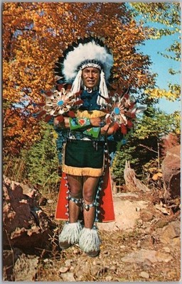 c1950s Native Americana Postcard ''Indian Chief Full Dress Costume'' Plastichrome