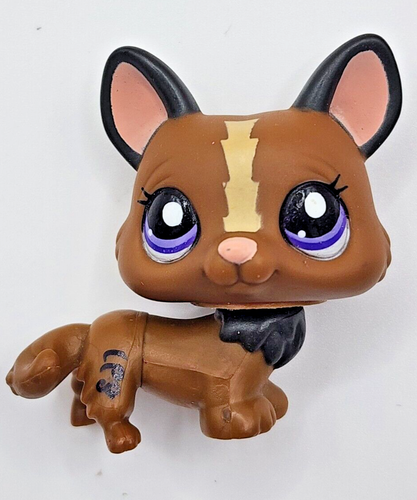 Littlest Pet Shop LPS #1767 Corgi Black And Brown Puppy Dog With Purple Eyes