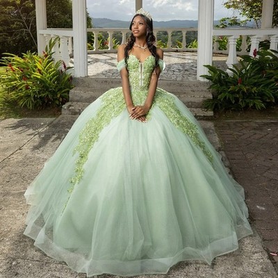 sage green sweet 16 dress Misshow Exquisite Ball Gown Off-Shoulder Sequined Lace Princess for Quinceanera & Sage Sizes Sage Green Quinceanera Dresses Off