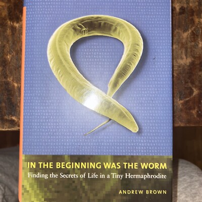 In The Beginning Was the Worm by Andrew Brown