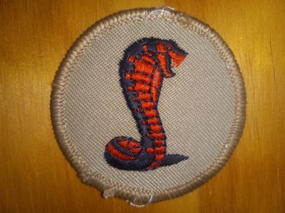 Angry Red Cobra Snake Patch - Often Used by Boy Scouts of America Patrol Gear