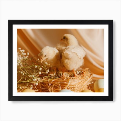 Ostern Küken 2 Kunstdruck gerahmt Wandbild Poster Leinwanddruck Bild