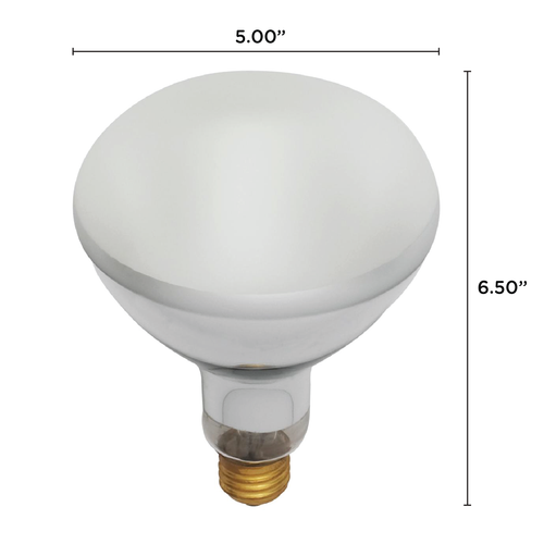 BR40 Flood Pool Light Bulb 120V 400W Medium E26 Frosted 4000 Lumens - Picture 2 of 5