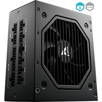 Sharkoon Rebel P20 1000W, Pc-Netzteil, Schwarz