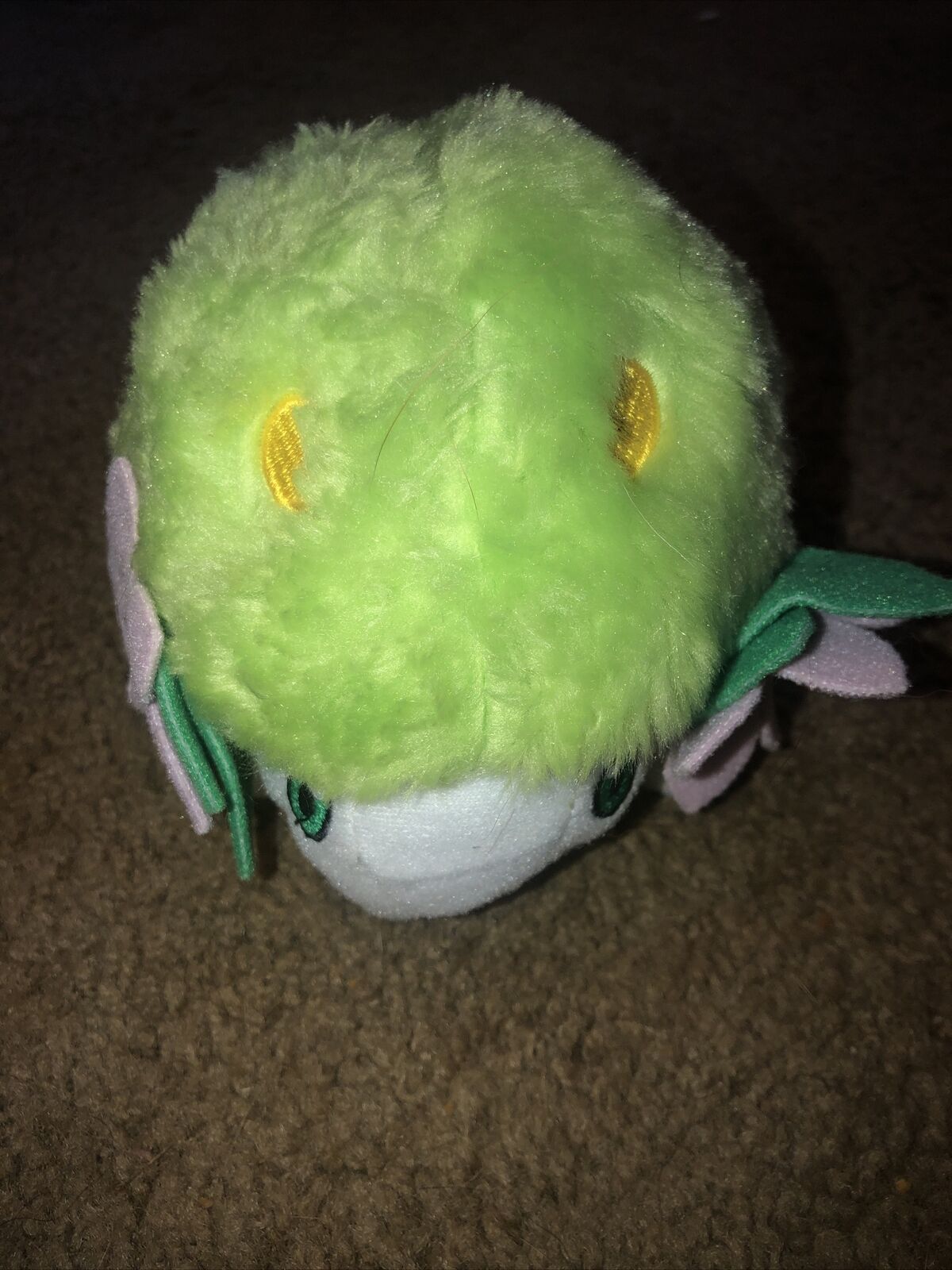 Picture 2 of 6