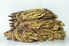 Yerba Santa Smudge Incense 5"-6" Bundle (12 pcs)