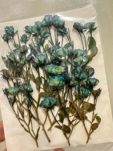 Dried Pressed Flowers Natural Epoxy Resin Candle Nail Art Scrapbooking Craft AU - Picture 124 of 210