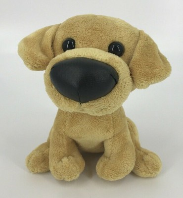 outdoor cat tunnel system