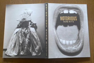 NOTORIOUS HERB RITTS Photo Book Fashion Portraits large