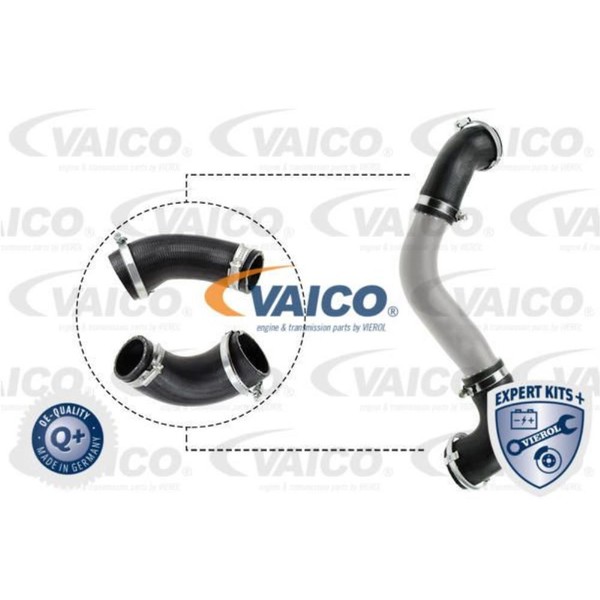 Vaico Ladeluftschlauch FüR Ford Kuga II DM2 Focus III Turnier DXA/CB7 Dxa/Ceu-image
