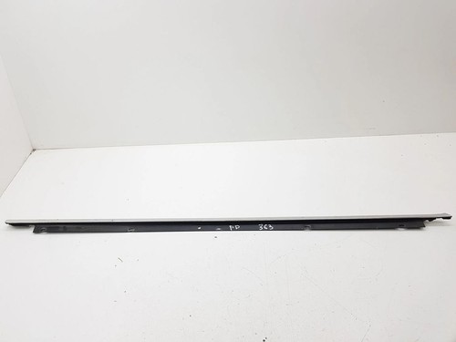 Door glass trim molding