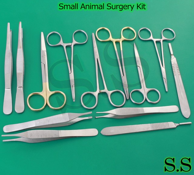 Small Animal Surgery Surgical Instruments Set DS862 eBay