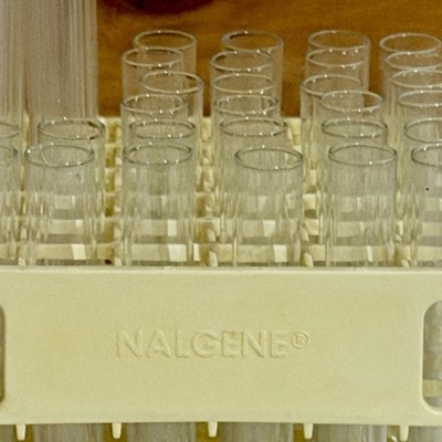 Nalgene 4'' Square Yellow Plastic Test Tube Rack w/36 Glass Laboratory Test Tubes