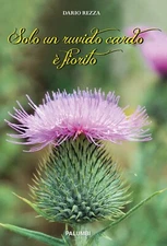 Solo un ruvido cardo è fiorito - [Nicola Palumbi]