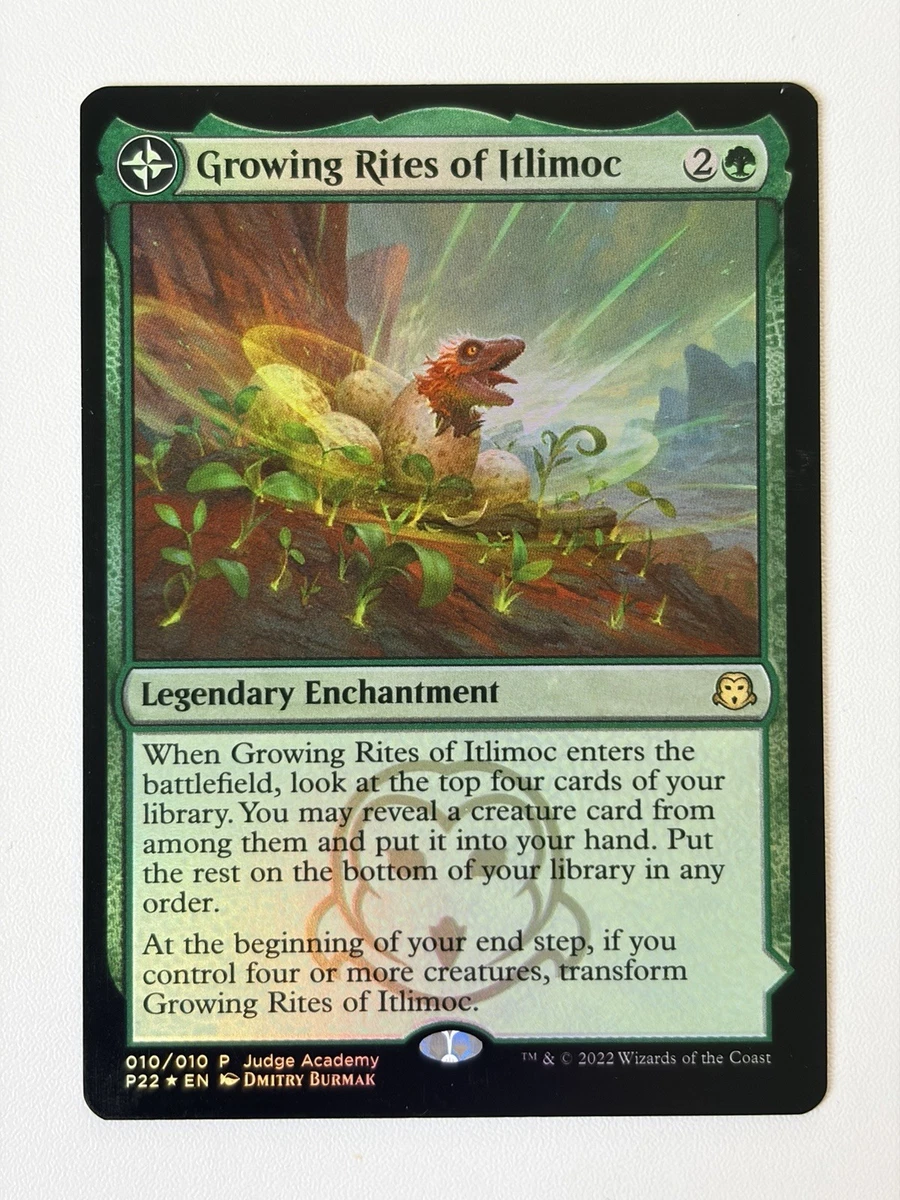 English Land Individual Magic: The Gathering Cards with Foil for