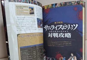 Sam Rice Pyritz Neo Geo Collection Fight Game Guide Book