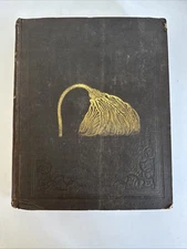 The Natural History of New York Geology (Part IV, pt. II) 1842 - Plates, Maps