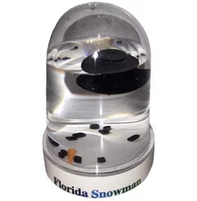 Florida Snow Globe MELTED SNOWMAN Snowglobe Funny Christmas Gift Winter Blizzard