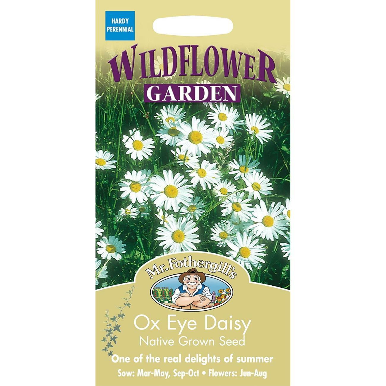 Mr Fothergills Wildflower Seeds Ox Eye Daisy Hardy Perennial White Flowers