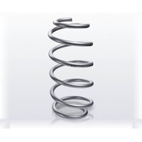 Fahrwerksfeder Hinterachse Schraubenfeder Ø 13,8 Mm Eibach FüR U.A. Dacia Duster